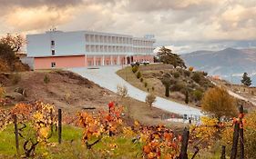 Placido Hotel Douro - Tabuaco